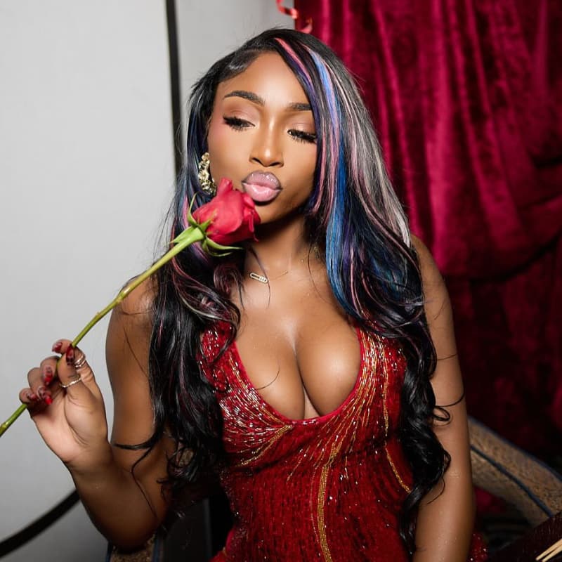 SZC Black With Pink Blue Purple Highlights 13x4 Lace Front Human Hair Wigs