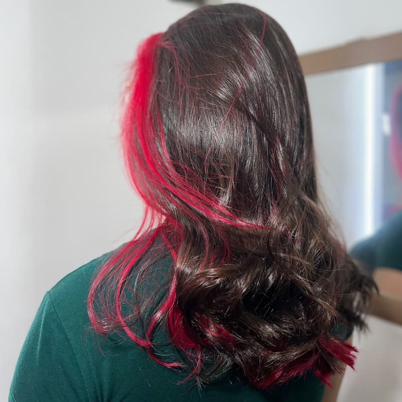 SZC Peekaboo Dark Brown Hot Pink Streaks 13x4 Lace Front Human Hair Wigs